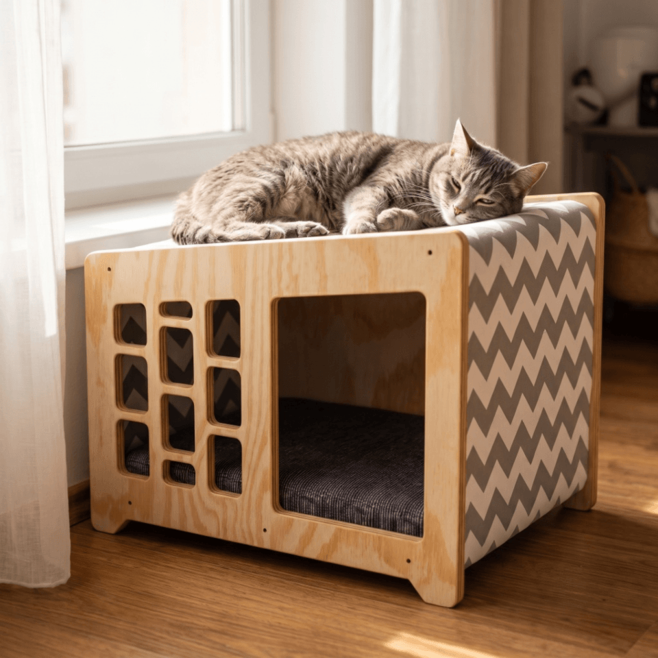 Casa de Gatos Berloiz