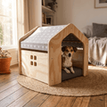 Casa de perros Golfo